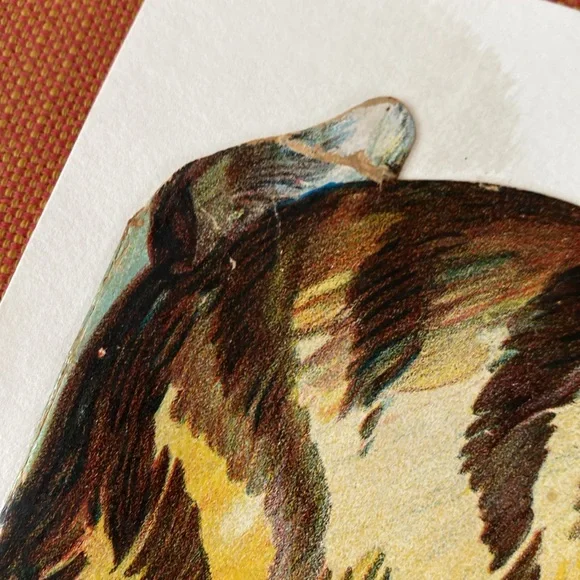 Vintage Tabby Cat Nursery Wall Artwork Print - Picture 7 of 8